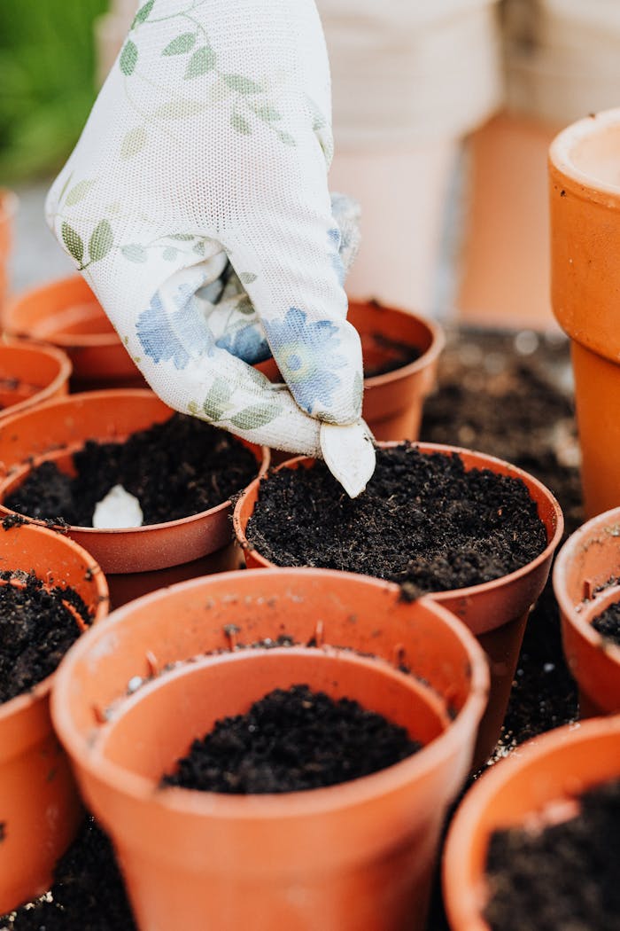 Mastering the First Impression: Your intriguing post title goes here