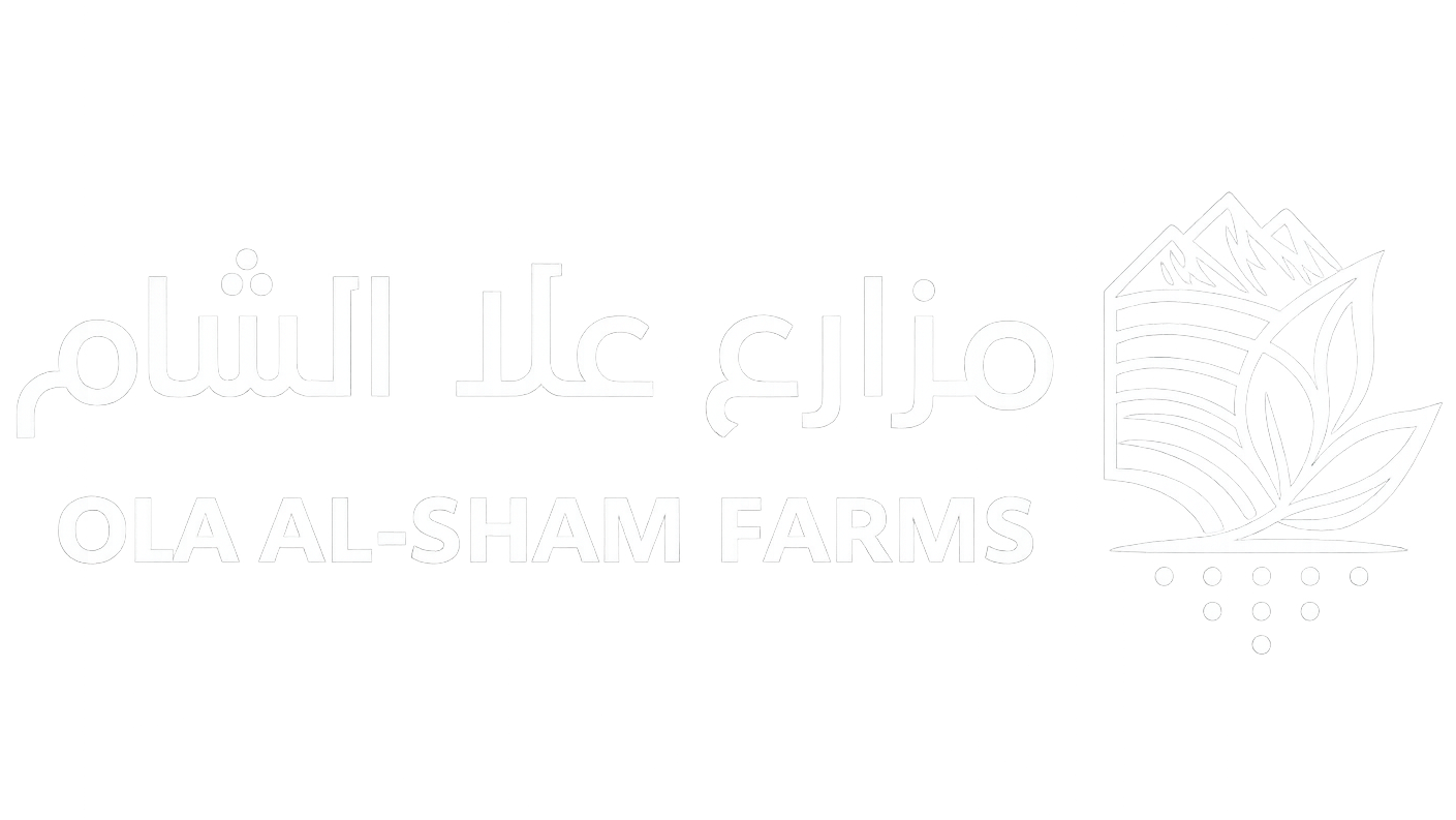 مزارع علا الشام